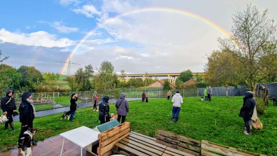 Hundeauslaufgebiet-Halb so wild Region Stuttgart-Bild