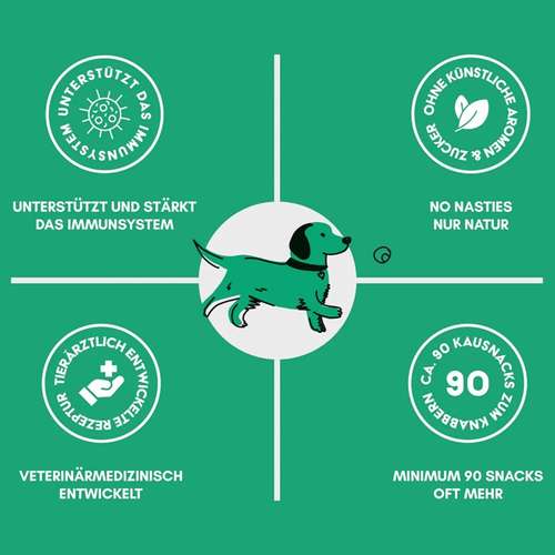 Hundeauslaufgebiet-THE WOOFY-Bild