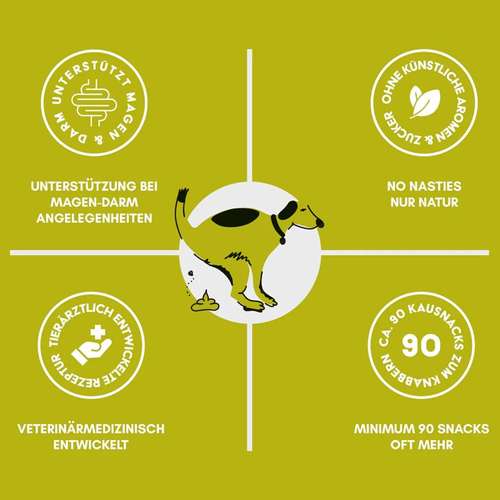 Hundeauslaufgebiet-THE WOOFY-Bild