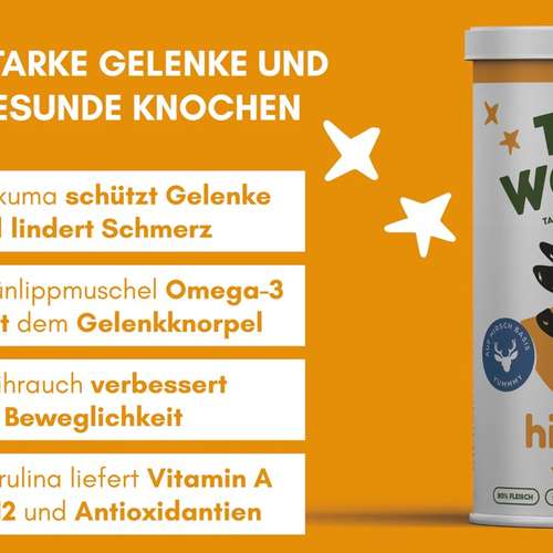 Hundeauslaufgebiet-THE WOOFY-Bild