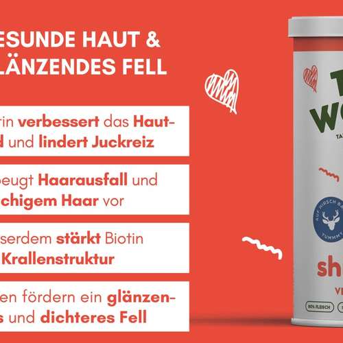 Hundeauslaufgebiet-THE WOOFY-Bild