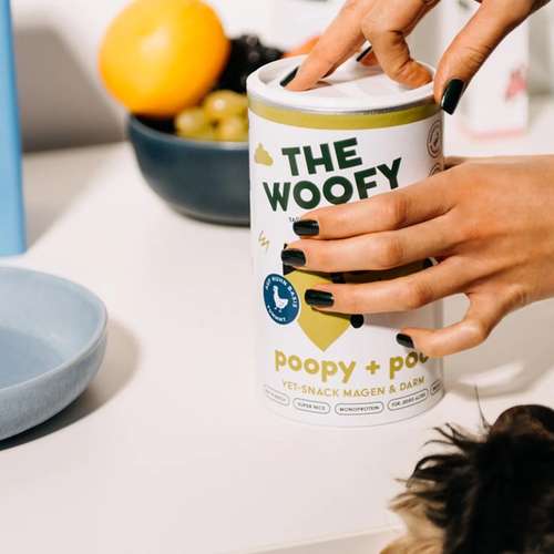 Hundeauslaufgebiet-THE WOOFY-Bild