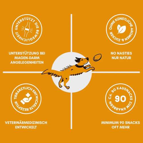 Hundeauslaufgebiet-THE WOOFY-Bild