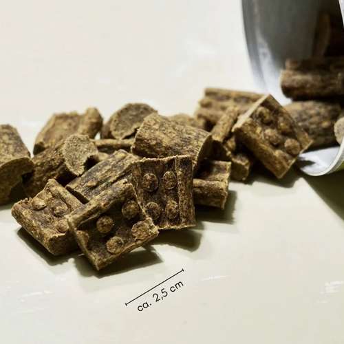 Hundeauslaufgebiet-THE WOOFY-Bild