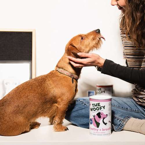 Hundeauslaufgebiet-THE WOOFY-Bild