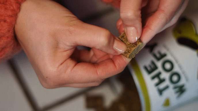 Hundeauslaufgebiet-THE WOOFY-Bild