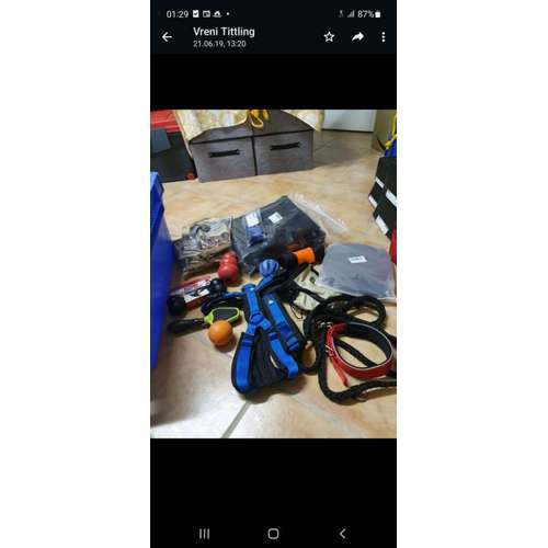 Hundeauslaufgebiet-T 'n' T - Training für Charakterköpfe-Bild