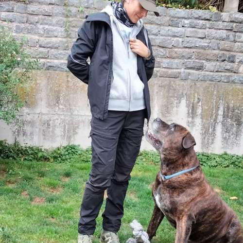 Hundeauslaufgebiet-T 'n' T - Training für Charakterköpfe-Bild