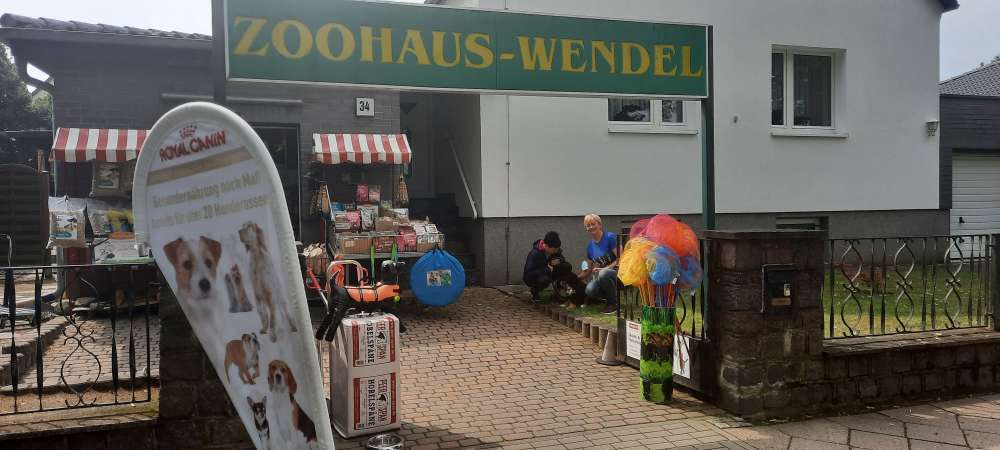 Hundeauslaufgebiet-ZOOHAUS WENDEL-Bild