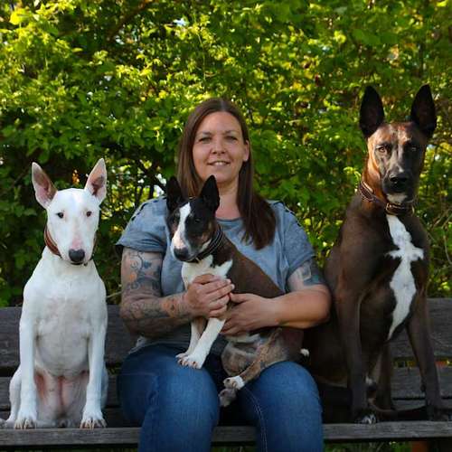 Hundeauslaufgebiet-MALIBULL Rheinhessen-Bild