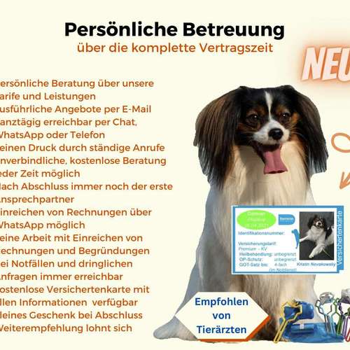 Hundeauslaufgebiet-Tierversicherungen - Kristin Novakowsky-Bild