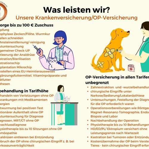 Hundeauslaufgebiet-Tierversicherungen - Kristin Novakowsky-Bild