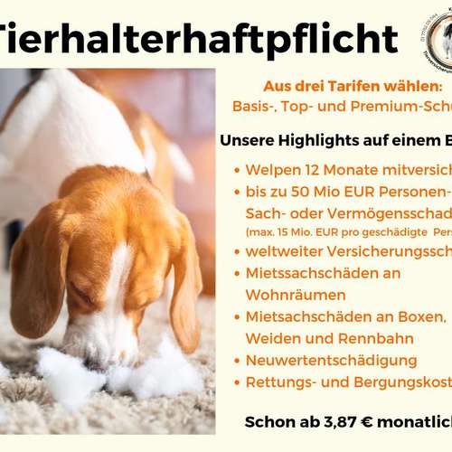 Hundeauslaufgebiet-Tierversicherungen - Kristin Novakowsky-Bild
