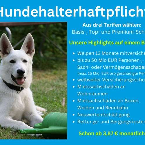 Hundeauslaufgebiet-Tierversicherungen - Kristin Novakowsky-Bild