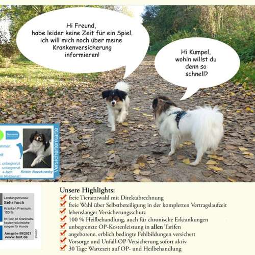 Hundeauslaufgebiet-Tierversicherungen - Kristin Novakowsky-Bild