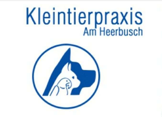 Hundeauslaufgebiet-Anke Morgenroth Artmeier-Bild