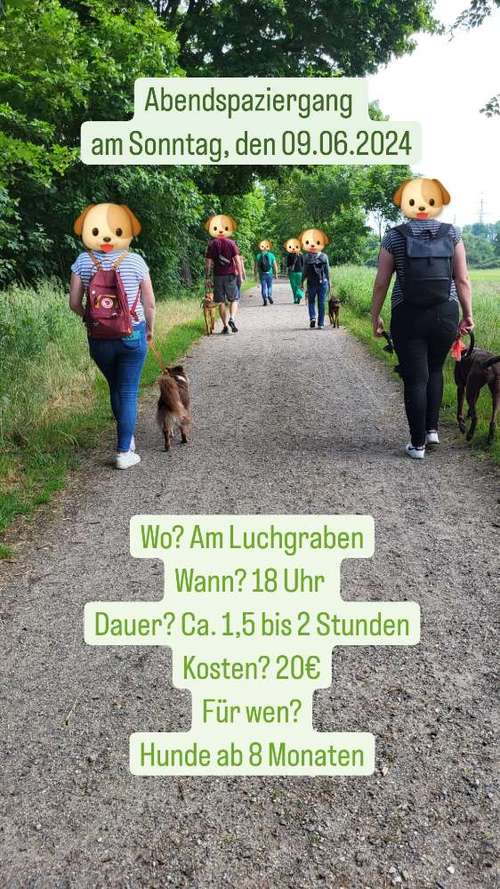 Hundeauslaufgebiet-Pankepfoten - Marias Hundetraining-Bild