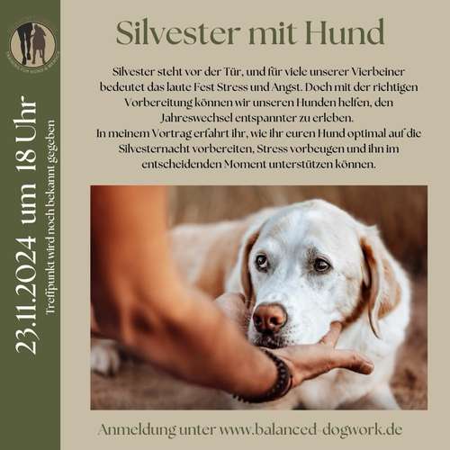 Hundeauslaufgebiet-Balanced Dogwork-Bild