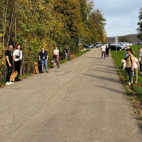 Hundeauslaufgebiet-Balanced Dogwork-Bild
