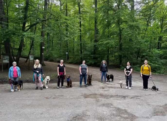 Hundeauslaufgebiet-Balanced Dogwork-Bild