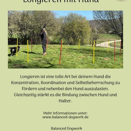 Hundeauslaufgebiet-Balanced Dogwork-Bild