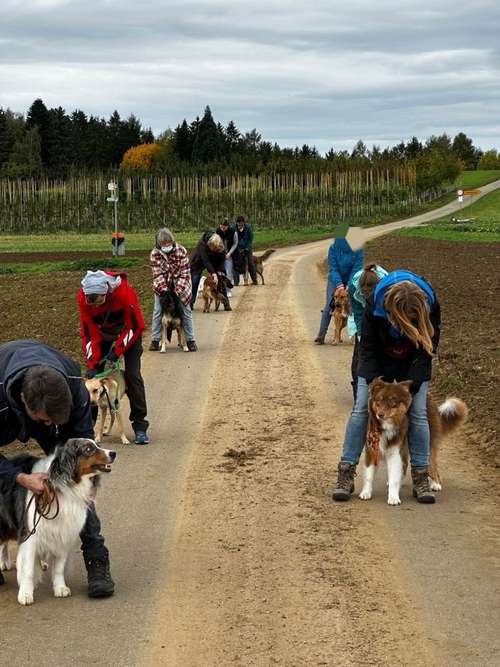 Hundeauslaufgebiet-Balanced Dogwork-Bild