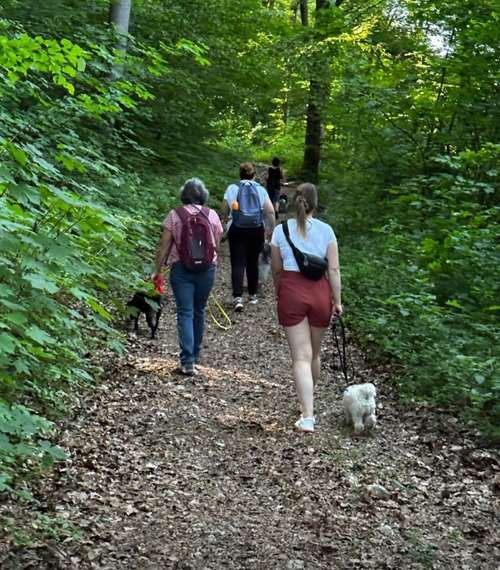 Hundeauslaufgebiet-Balanced Dogwork-Bild