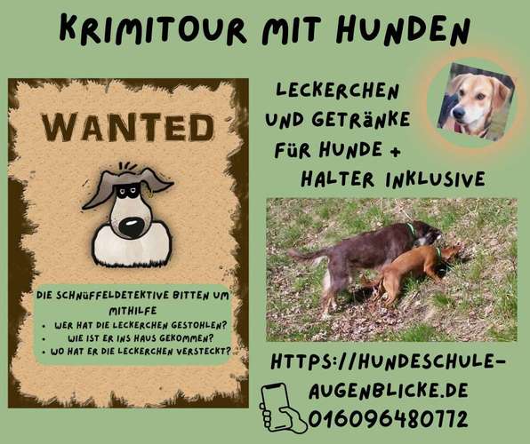 Hundeauslaufgebiet-Hundeschule AugenBlicke-Bild