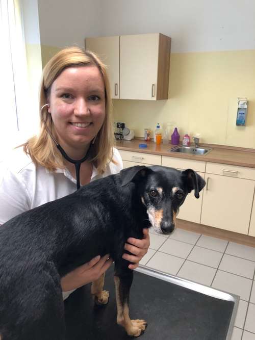 Hundeauslaufgebiet-Kleintierpraxis Thimm & Siemann-Bild