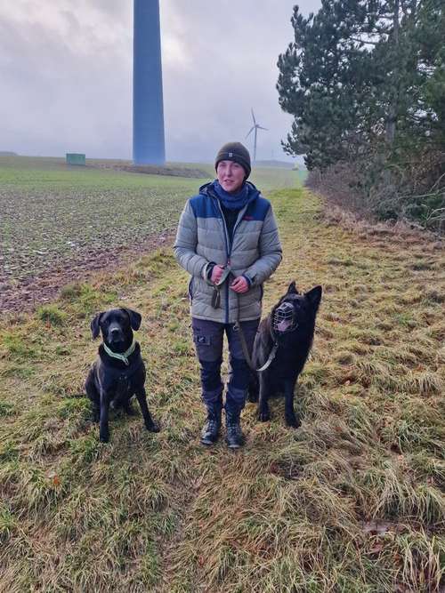 Hundeauslaufgebiet-Rudelgeschichten-Bild