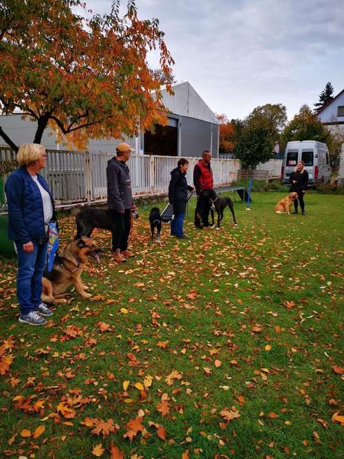 Hundeauslaufgebiet-Hundefreunde Schwabach-Bild