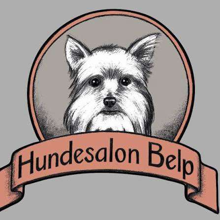 Hundeauslaufgebiet-Hundesalon Belp-Bild