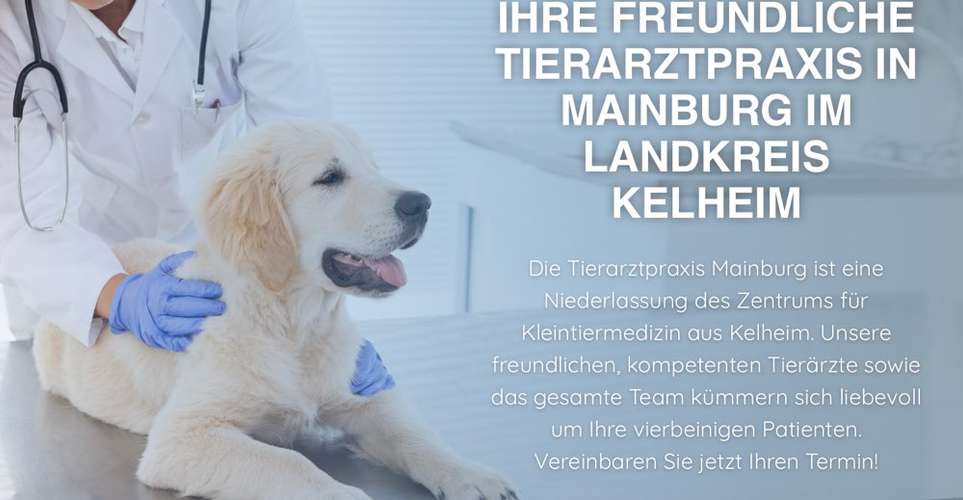 Hundeauslaufgebiet-Tierarztpraxis Mainburg-Bild