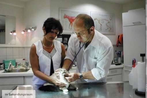 Hundeauslaufgebiet-Dr. Thomas Rahm-Bild