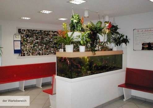 Hundeauslaufgebiet-Dr. Thomas Rahm-Bild