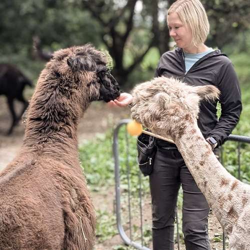 Hundeauslaufgebiet-dog.zeit® | Verhaltensberatung & Training-Bild