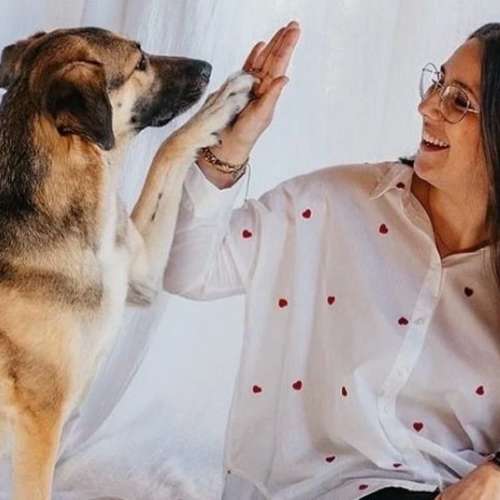 Hundeauslaufgebiet-Hundeschule Dieckmann-Bild