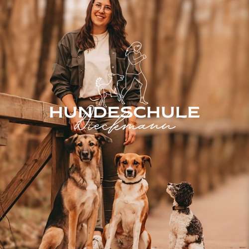 Hundeauslaufgebiet-Hundeschule Dieckmann-Bild