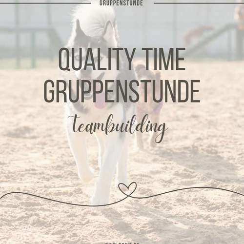 Hundeauslaufgebiet-DOGIQ-Bild