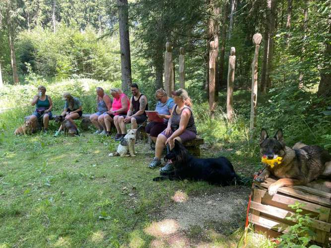 Hundeauslaufgebiet-DOGIQ-Bild