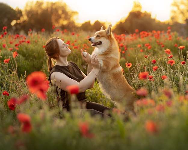 Hundeauslaufgebiet-Savoy Dogs Fotografie-Bild