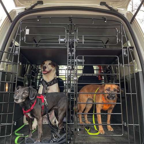 Hundeauslaufgebiet-Entdeckerpfoten-Bild