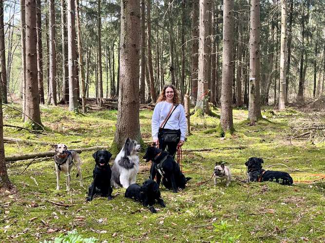 Hundeauslaufgebiet-Dogwalking - by Liss-Bild