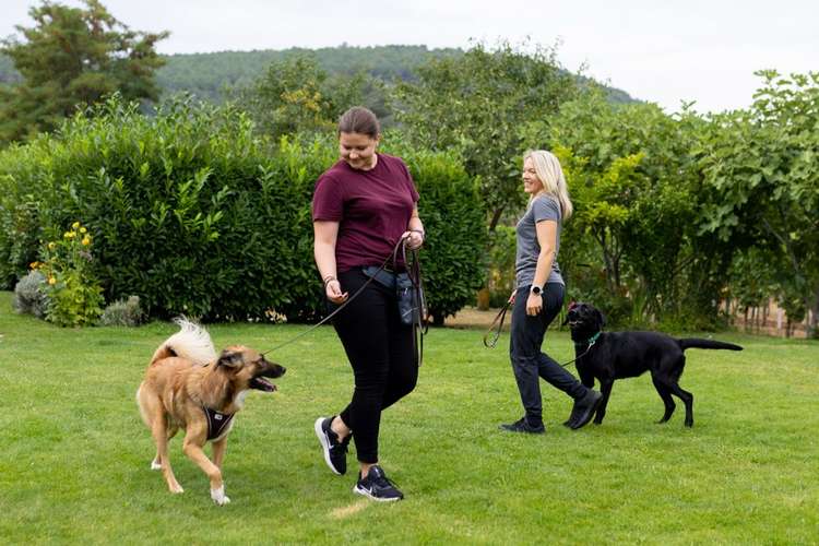 Hundeauslaufgebiet-PowerPaw Akademie-Bild