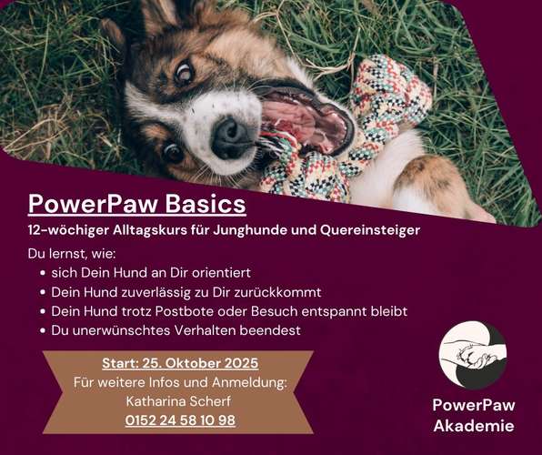 Hundeauslaufgebiet-PowerPaw Akademie-Bild