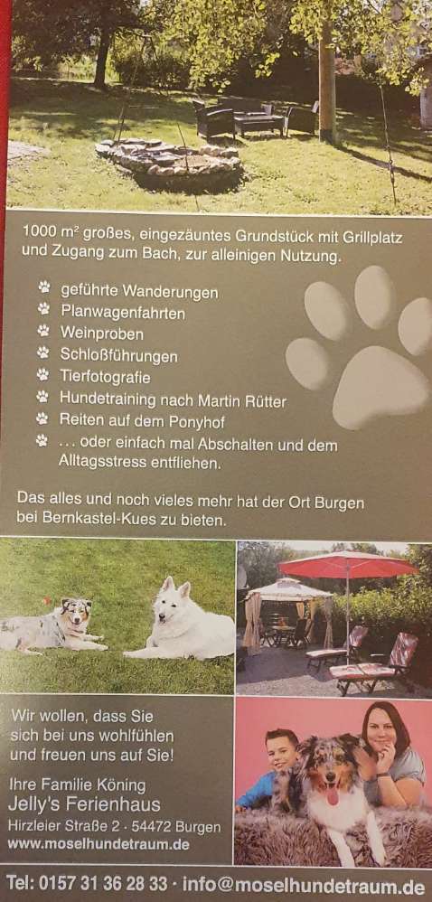 Hundeauslaufgebiet-Jelly's Ferienhaus Urlaub mit Hund-Bild