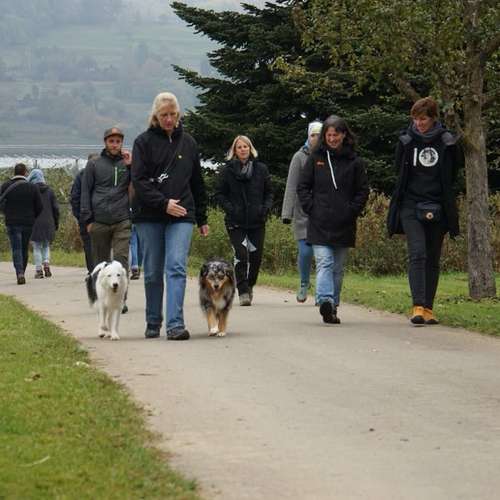 Hundeauslaufgebiet-Hundeschule Gabi Brühlmeier-Bild