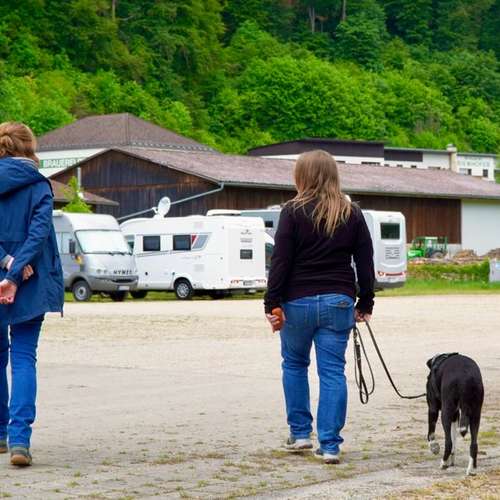 Hundeauslaufgebiet-Hundeschule Gabi Brühlmeier-Bild