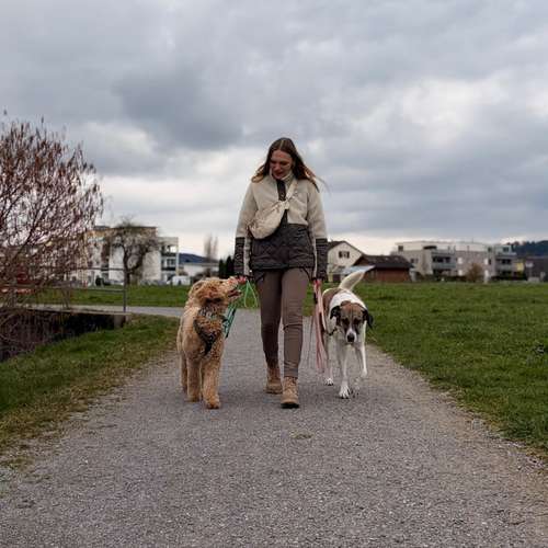 Hundeauslaufgebiet-Pawsitive Minds-Bild