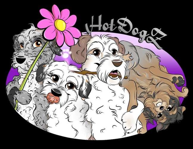 Hundeauslaufgebiet-Die HotDogZ - Hund-Trick-Show und Hunde-Tricktraining-Bild
